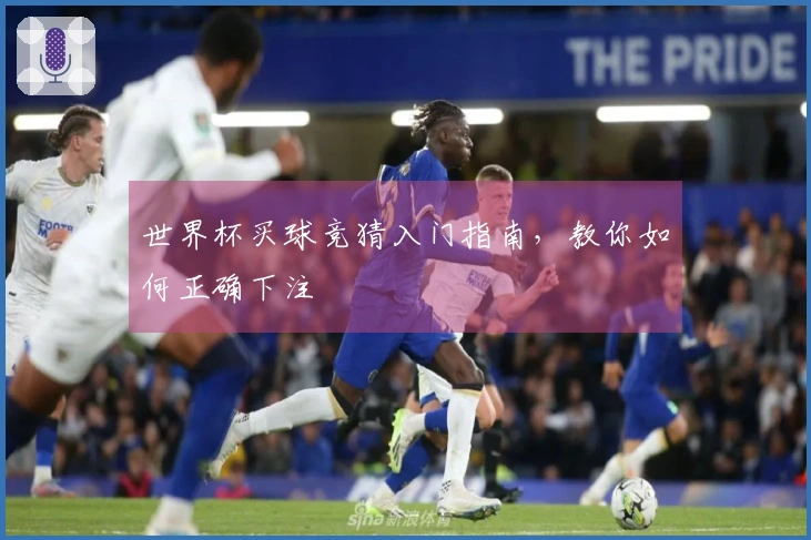 世界杯买球竞猜入门指南，教你如何正确下注