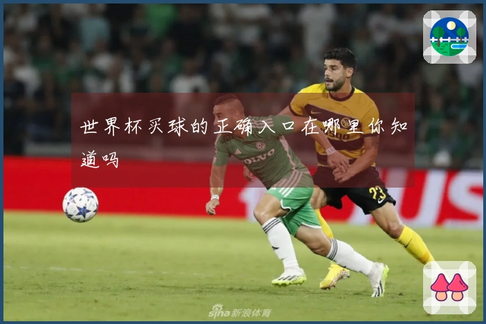 世界杯买球的正确入口在哪里你知道吗