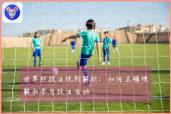 世界杯投注规则解析：如何正确理解和参与投注活动