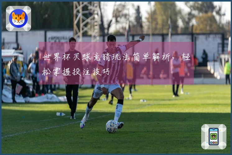 世界杯买球竞猜玩法简单解析，轻松掌握投注技巧