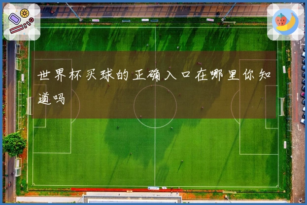 世界杯买球的正确入口在哪里你知道吗