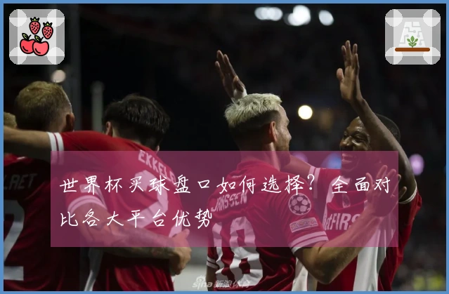 世界杯买球盘口如何选择？全面对比各大平台优势