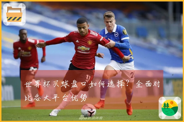 世界杯买球盘口如何选择?全面对比各大平台优势