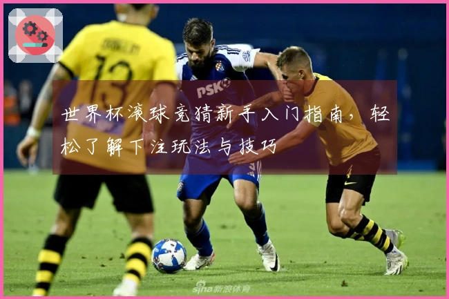 世界杯滚球竞猜新手入门指南，轻松了解下注玩法与技巧