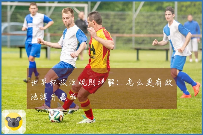世界杯投注规则详解：怎么更有效地提升赢面