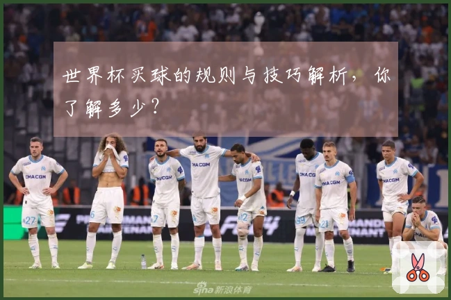 世界杯买球的规则与技巧解析，你了解多少？