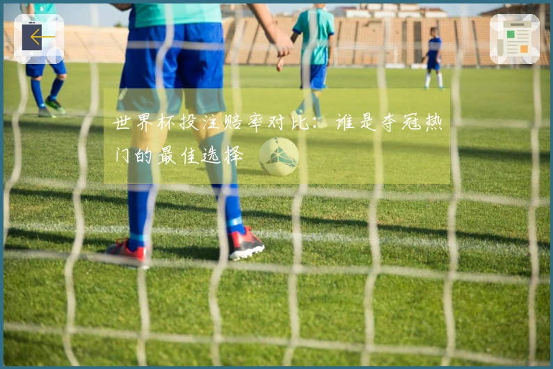 世界杯投注赔率对比：谁是夺冠热门的最佳选择